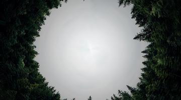 Circular economy