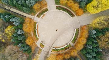 Circle trees