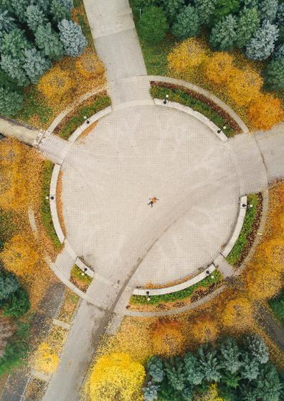 Circle trees